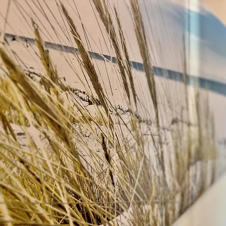 Apartment 388, Seepark